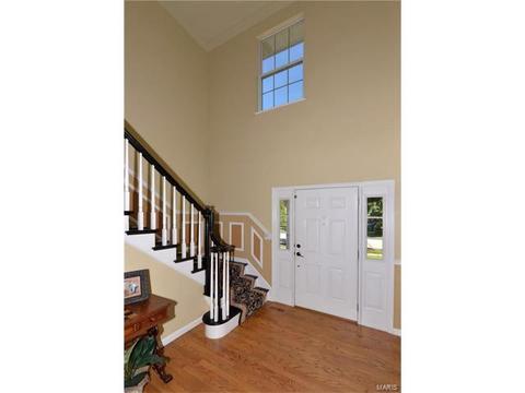 912 Pheasant Woods Dr, Ballwin, MO 63021 photo 20