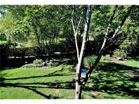 912 Pheasant Woods Dr, Ballwin, MO 63021 photo 39