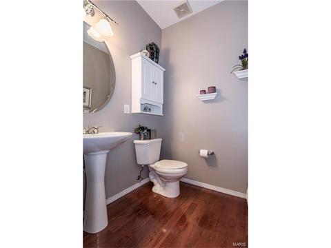 1237 Arbor Bluff Cir, Ballwin, MO 63021 photo 6