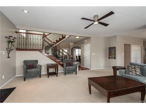 1237 Arbor Bluff Cir, Ballwin, MO 63021 photo 19