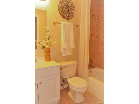 41 Chip Dr, O'fallon, MO 63366 photo 8