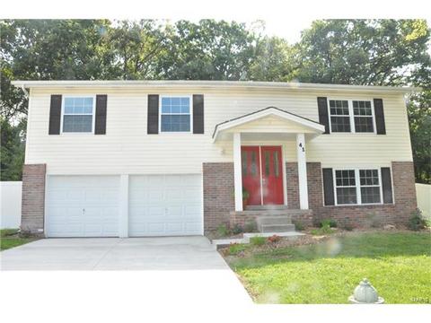 41 Chip Dr, O'fallon, MO 63366 photo 1