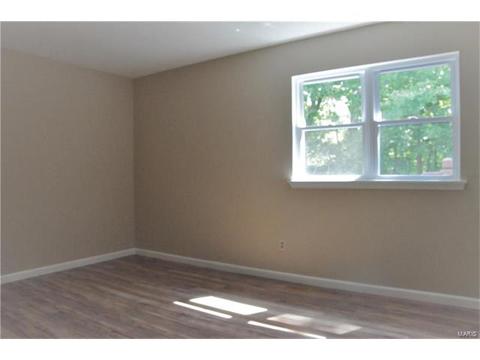 41 Chip Dr, O'fallon, MO 63366 photo 12