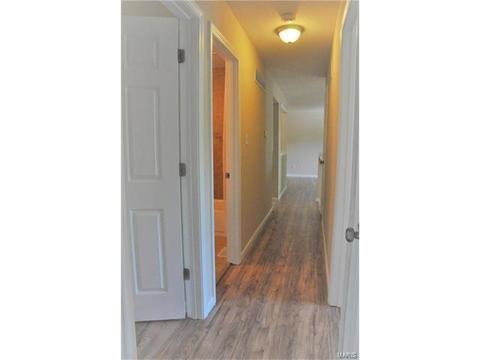 41 Chip Dr, O'fallon, MO 63366 photo 13
