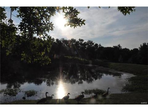 41 Chip Dr, O'fallon, MO 63366 photo 35