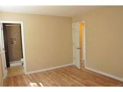 41 Chip Dr, O'fallon, MO 63366 photo 18