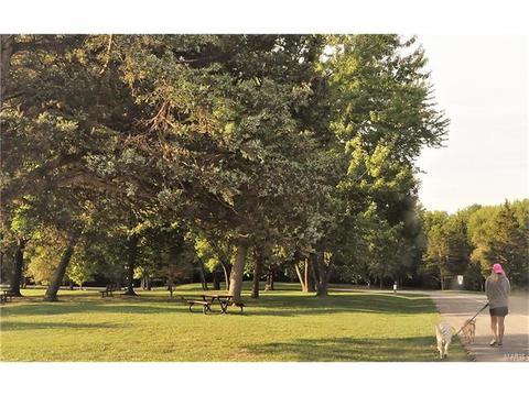 41 Chip Dr, O'fallon, MO 63366 photo 34
