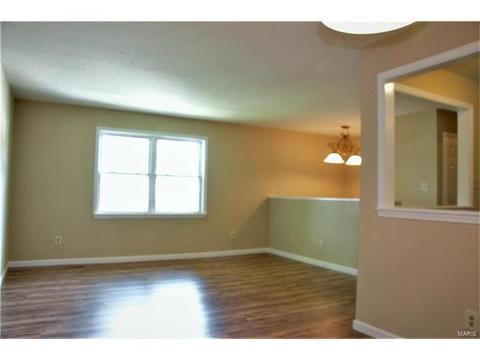 41 Chip Dr, O'fallon, MO 63366 photo 7