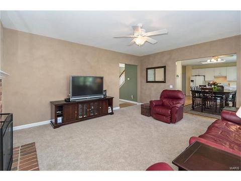 1422 Amber Wave, O'fallon, MO 63366 photo 33