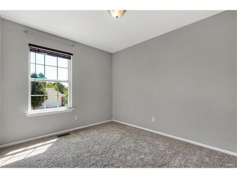 313 Ruth Ann Dr, O'fallon, MO 63368 photo 15