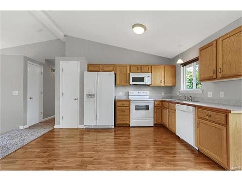 313 Ruth Ann Dr, O'fallon, MO 63368 photo 7