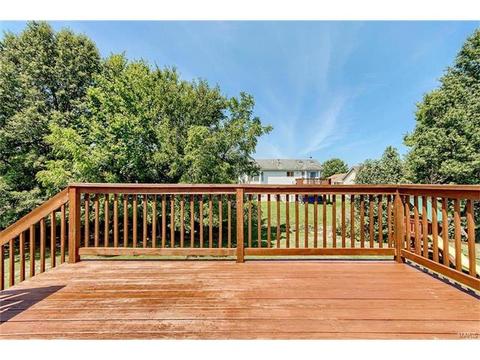 313 Ruth Ann Dr, O'fallon, MO 63368 photo 22