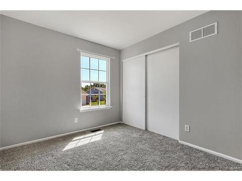 313 Ruth Ann Dr, O'fallon, MO 63368 photo 13