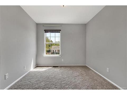 313 Ruth Ann Dr, O'fallon, MO 63368 photo 14