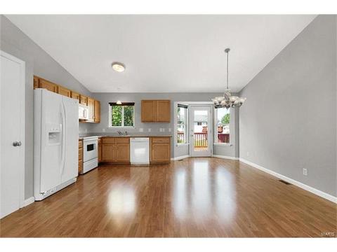 313 Ruth Ann Dr, O'fallon, MO 63368 photo 6
