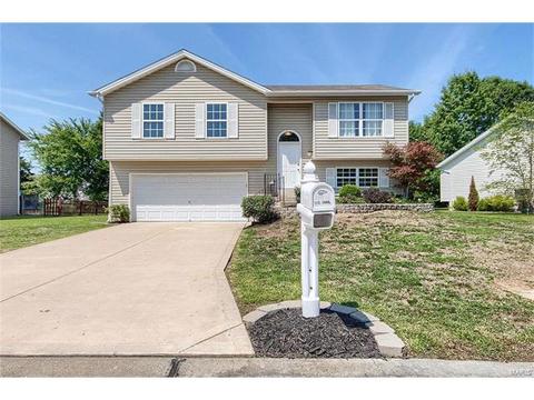 313 Ruth Ann Dr, O'fallon, MO 63368 photo 1