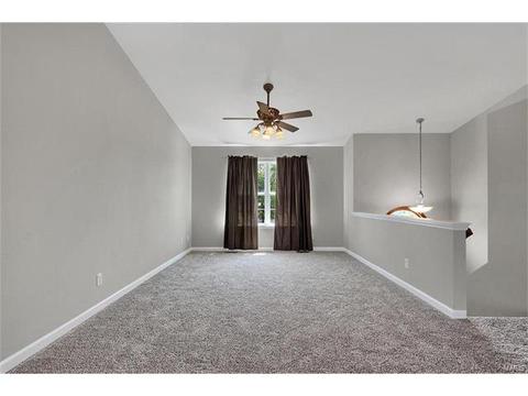 313 Ruth Ann Dr, O'fallon, MO 63368 photo 4