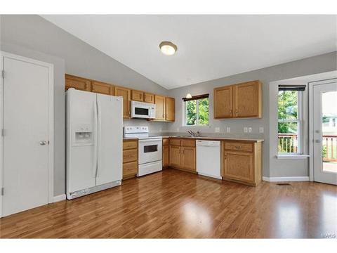 313 Ruth Ann Dr, O'fallon, MO 63368 photo 8