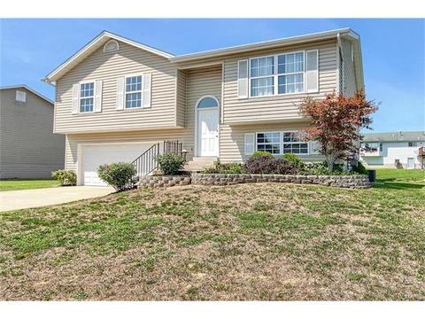 313 Ruth Ann Dr, O'fallon, MO 63368 photo 2
