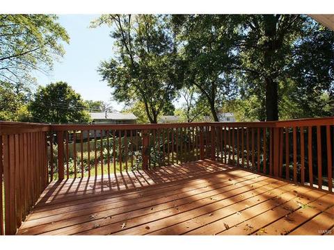 308 Wembley Ln, Ballwin, MO 63021 photo 12