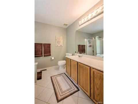 426 Buckhurst Dr, Ballwin, MO 63021 photo 17