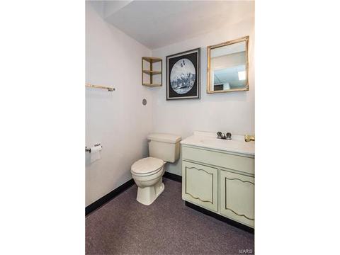 52 Waynesboro Ct, Weldon Spring, MO 63304 photo 40