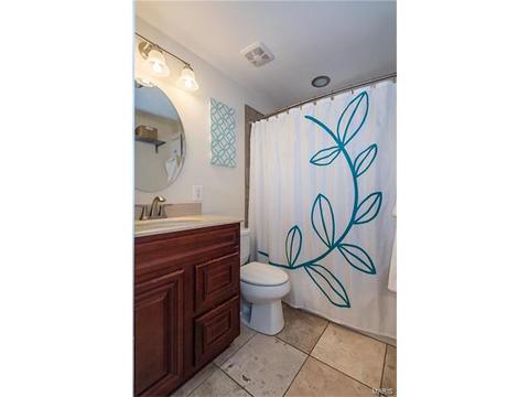 2261 Yale Ave, Saint Louis, MO 63143 photo 10