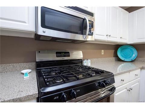 1505 Snowbird Ln, O'fallon, MO 63366 photo 9