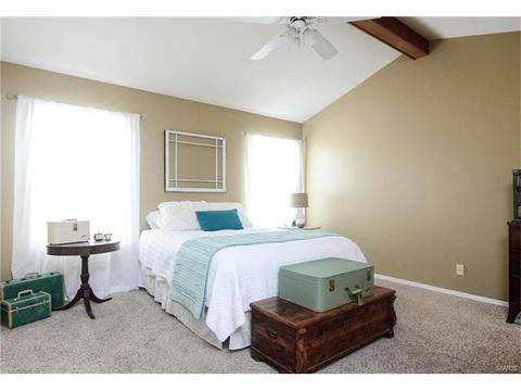 1505 Snowbird Ln, O'fallon, MO 63366 photo 14