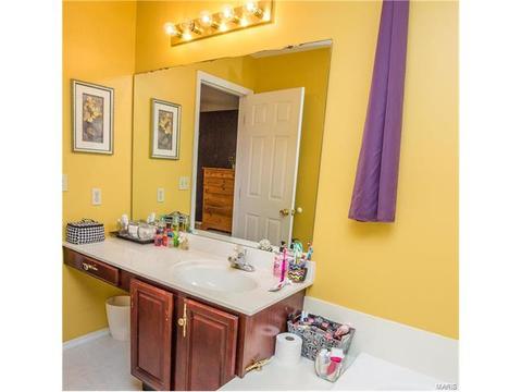 2 Jimicee Ct, O'fallon, MO 63366 photo 29