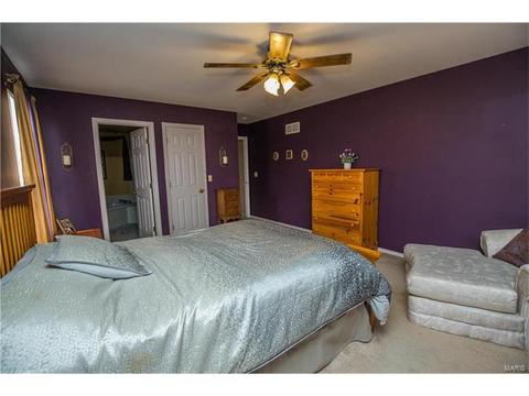 2 Jimicee Ct, O'fallon, MO 63366 photo 27