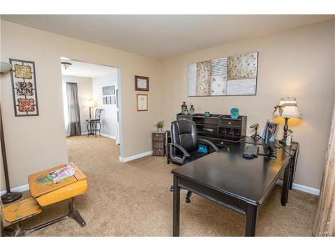 2 Jimicee Ct, O'fallon, MO 63366 photo 19
