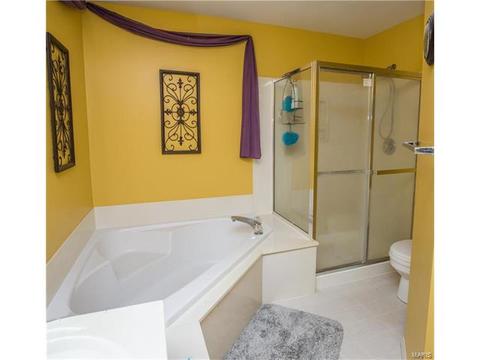 2 Jimicee Ct, O'fallon, MO 63366 photo 28