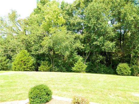 974 Emge Rd, O'fallon, MO 63366 photo 23