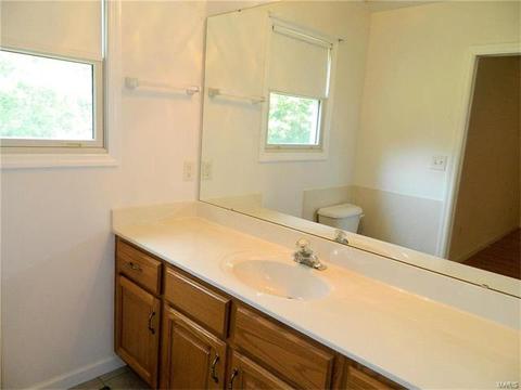 974 Emge Rd, O'fallon, MO 63366 photo 20