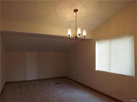 704 Sandy Summit Dr, Ballwin, MO 63021 photo 10
