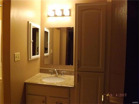 704 Sandy Summit Dr, Ballwin, MO 63021 photo 9