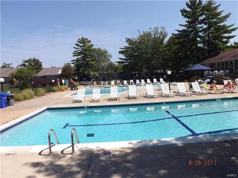 704 Sandy Summit Dr, Ballwin, MO 63021 photo 21