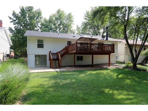 1219 Dorne Dr, Manchester, MO 63021 photo 17