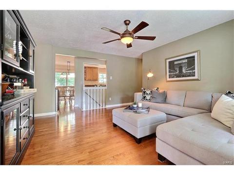 1219 Dorne Dr, Manchester, MO 63021 photo 3