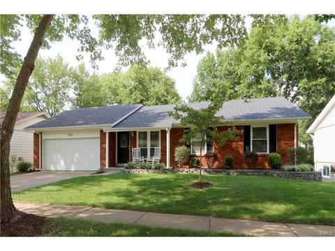 1219 Dorne Dr, Manchester, MO 63021 photo 1