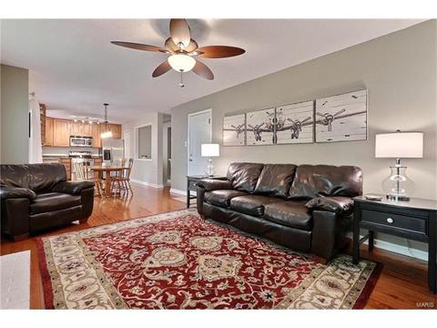 1219 Dorne Dr, Manchester, MO 63021 photo 5