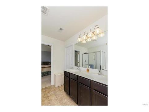 406 Spring Trce, O'fallon, MO 63368 photo 17