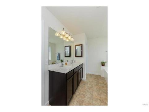 406 Spring Trce, O'fallon, MO 63368 photo 16