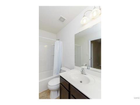 406 Spring Trce, O'fallon, MO 63368 photo 24