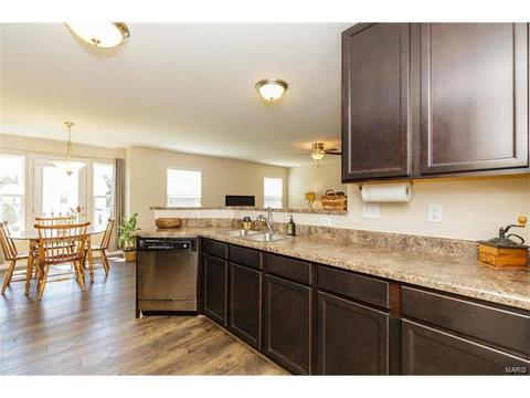 406 Spring Trce, O'fallon, MO 63368 photo 13