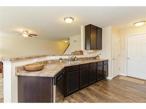 406 Spring Trce, O'fallon, MO 63368 photo 10