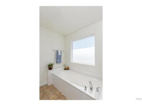 406 Spring Trce, O'fallon, MO 63368 photo 19