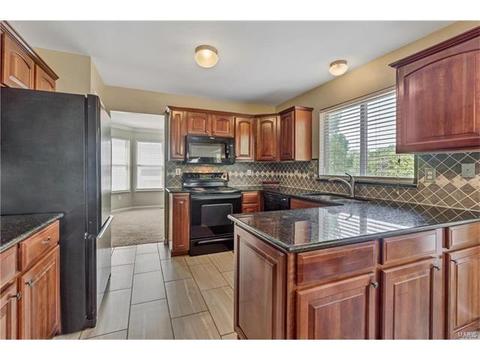 17174 Elm Trail Dr, Eureka, MO 63025 photo 4