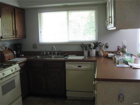 319 Westridge, O'fallon, MO 63366 photo 21
